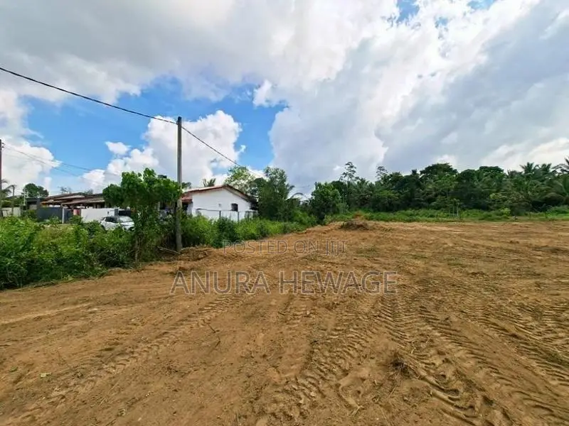 හල්බරාව, පාදුක්ක ප්‍රදේශයේ ඉඩමක් විකිණීමට ඇත. (ID : HLBR001S)