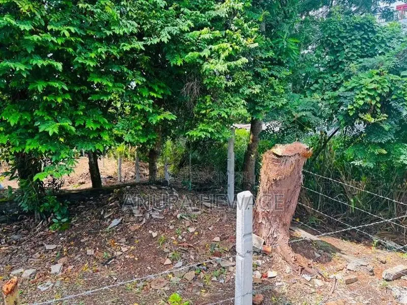පිළියන්දල, මඩපාත ඉඩමක් විකිණීමට ඇත. (ID : PLN001S)