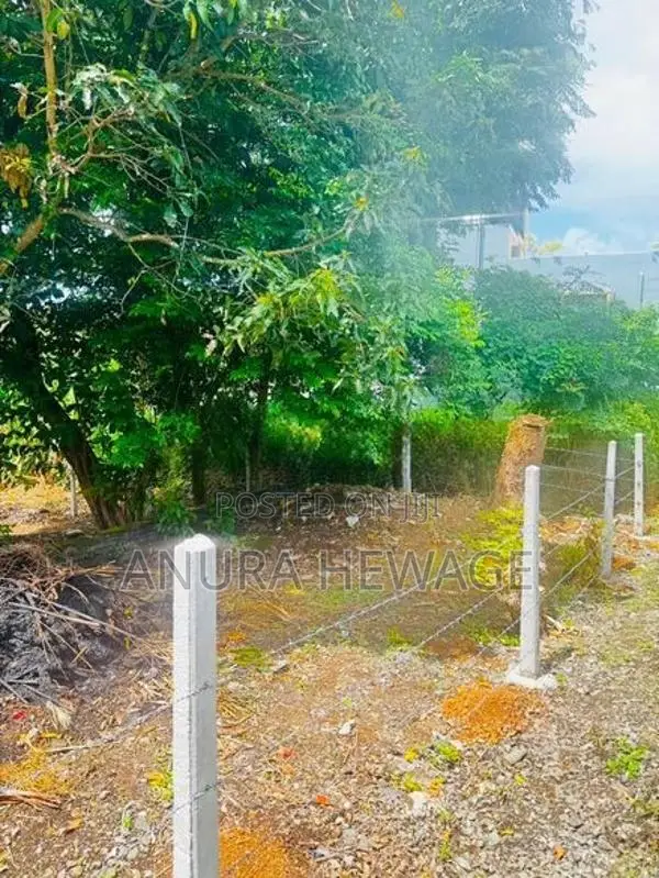 පිළියන්දල, මඩපාත ඉඩමක් විකිණීමට ඇත. (ID : PLN001S)