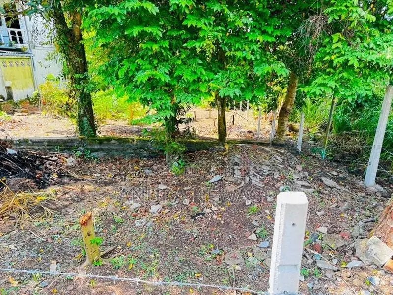 පිළියන්දල, මඩපාත ඉඩමක් විකිණීමට ඇත. (ID : PLN001S)