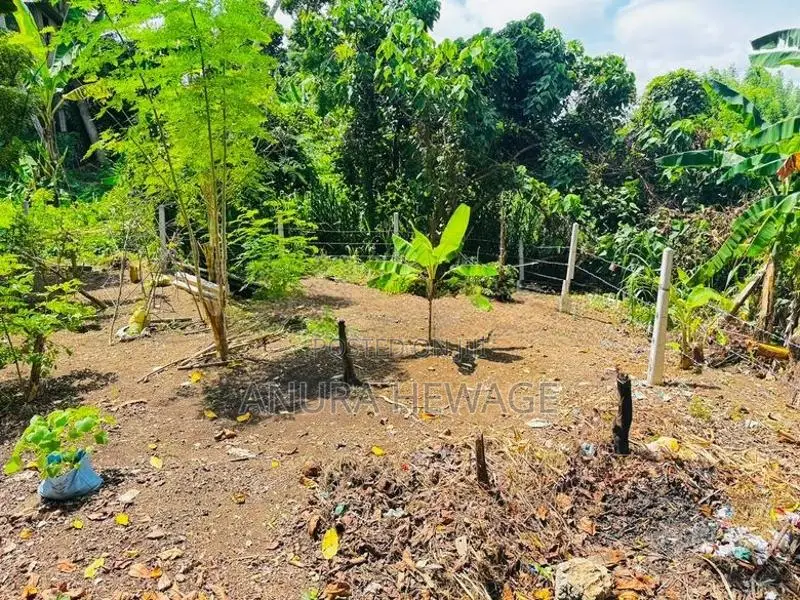 පිළියන්දල, මඩපාත ඉඩමක් විකිණීමට ඇත. (ID : PLN001S)