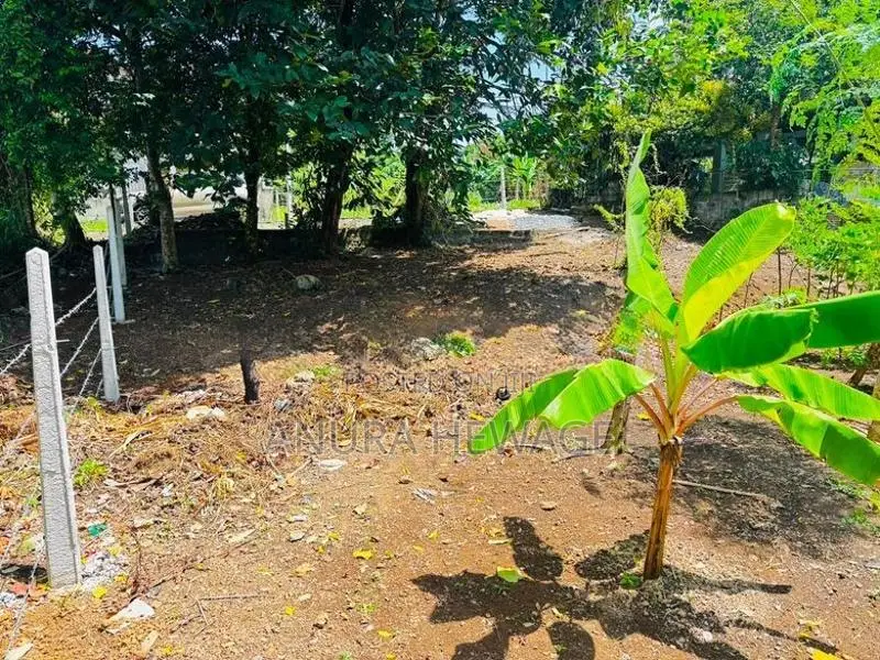 පිළියන්දල, මඩපාත ඉඩමක් විකිණීමට ඇත. (ID : PLN001S)