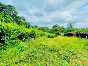 4.75-Acre Eco-Tourism & Villa Land for Sale in Kegalle