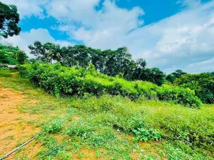 4.75-Acre Eco-Tourism & Villa Land for Sale in Kegalle