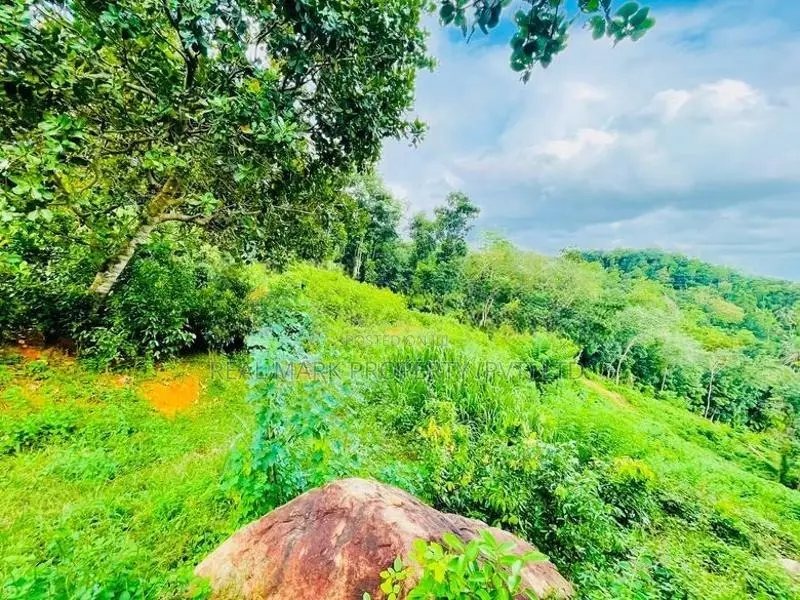 4.75-Acre Eco-Tourism & Villa Land for Sale in Kegalle
