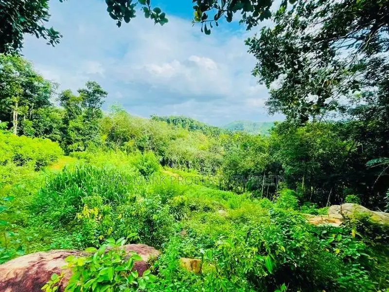 4.75-Acre Eco-Tourism & Villa Land for Sale in Kegalle