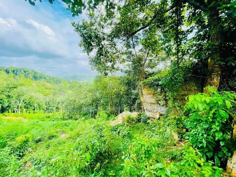 4.75-Acre Eco-Tourism & Villa Land for Sale in Kegalle