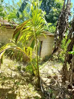 1 Acre Land with House For Sale - Bibila