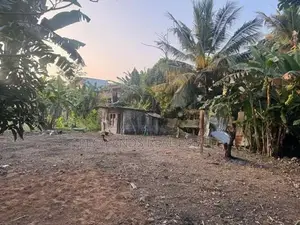 (AL230) 11 Perches Commercial Land for Sale in Attidiya