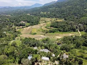 6 Acre Scenic Land for Sale in Thalathuoya, Kandy