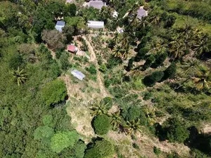 6 Acre Scenic Land for Sale in Thalathuoya, Kandy