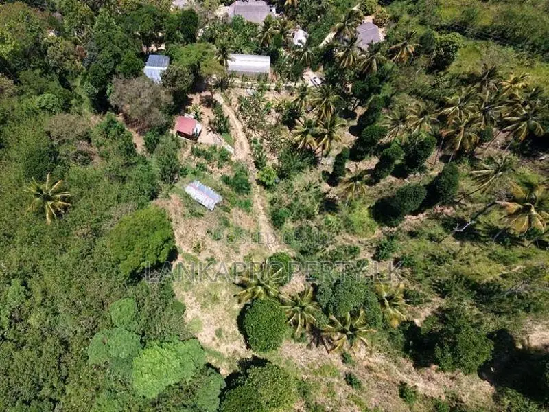 6 Acre Scenic Land for Sale in Thalathuoya, Kandy