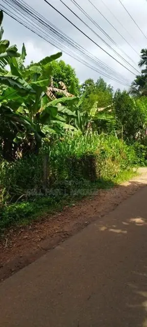 මාතලේ පරගහවෙල ගල්ඔය ප්‍රධාන පාරට මුහුණලා