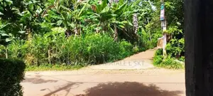 මාතලේ පරගහවෙල ගල්ඔය ප්‍රධාන පාරට මුහුණලා