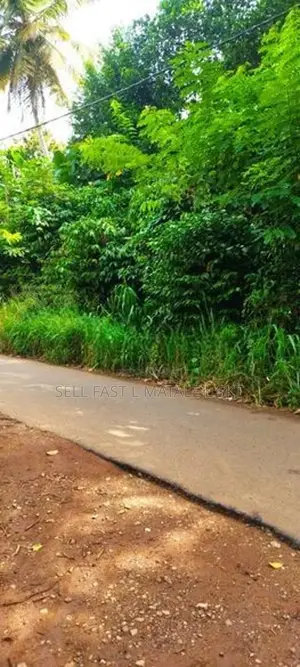 මාතලේ පරගහවෙල ගල්ඔය ප්‍රධාන පාරට මුහුණලා