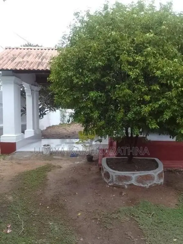 House for Rent Boralla