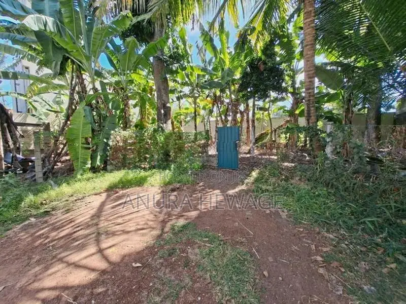 Land for Sale very Close to Nugegoda Junction. (ID : NUGE003)