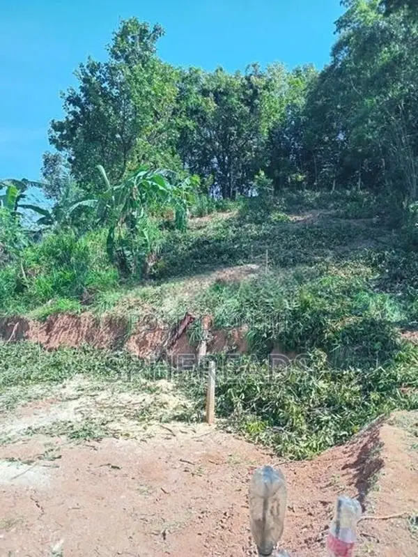 Land For sale Weligalla