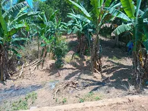 Land For sale Weligalla