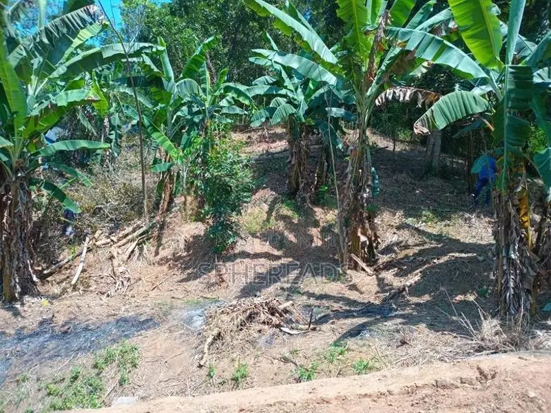 Land For sale Weligalla