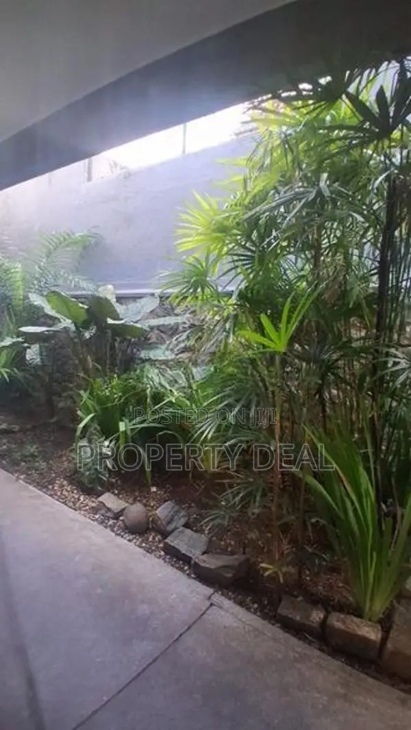 🏡 Spacious 9 Bedroom House for Rent Colombo 05 - PDH287