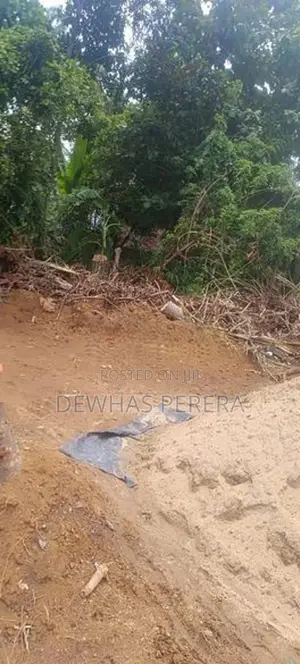 bollta /maskade jun between land for sale shrmadana church rd bollatha