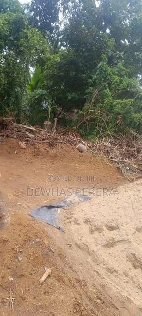bollta /maskade jun between land for sale shrmadana church rd bollatha