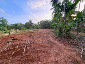 ඉංගිරිය තානායම් පෙදෙසේ පර්.96.5ක ඉඩම විකිණීමට