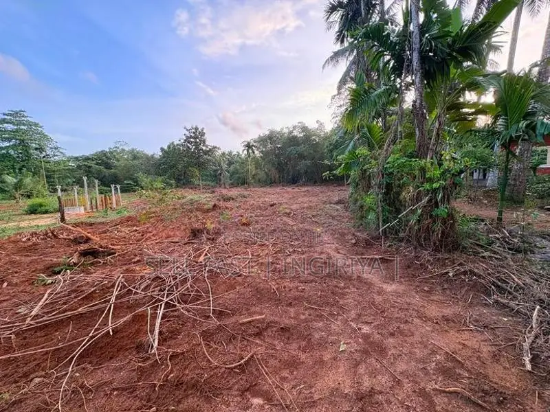 ඉංගිරිය තානායම් පෙදෙසේ පර්.96.5ක ඉඩම විකිණීමට