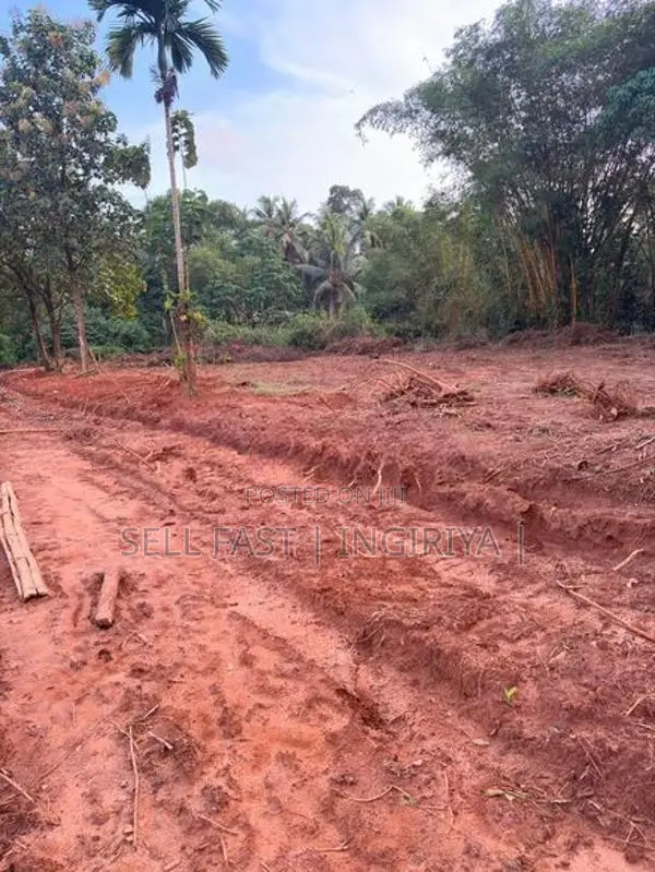 ඉංගිරිය තානායම් පෙදෙසේ පර්.96.5ක ඉඩම විකිණීමට