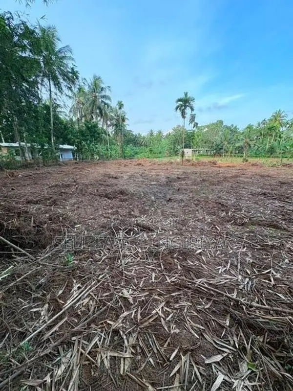 ඉංගිරිය තානායම් පෙදෙසේ පර්.96.5ක ඉඩම විකිණීමට