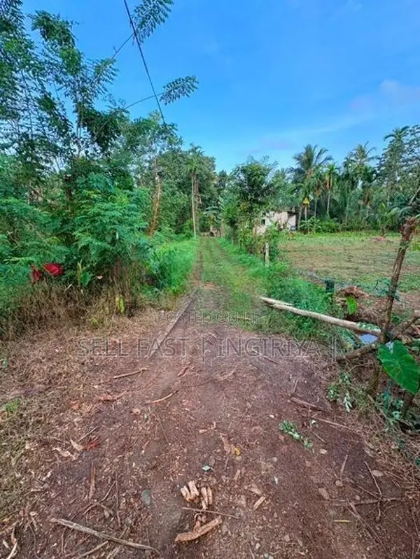 ඉංගිරිය තානායම් පෙදෙසේ පර්.96.5ක ඉඩම විකිණීමට