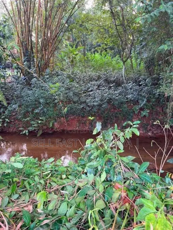 ඉංගිරිය තානායම් පෙදෙසේ පර්.96.5ක ඉඩම විකිණීමට