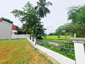Land for Sale Habarakada, facing paddy field. (ID : HBRK004)