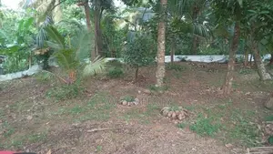 Land for sale in panadura