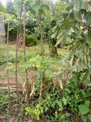 Land for Sale Malabe