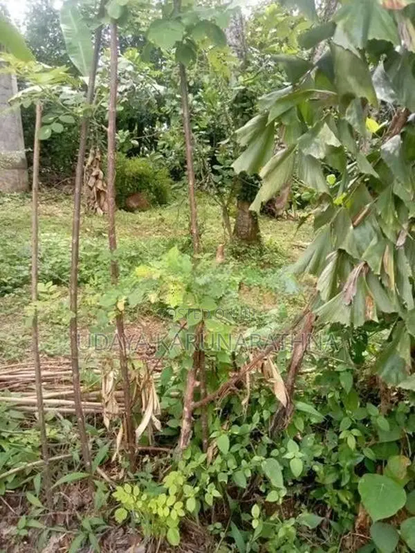 Land for Sale Malabe