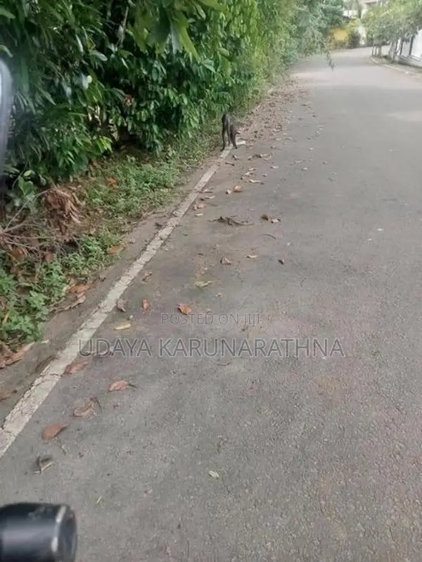 Land for Sale Malabe