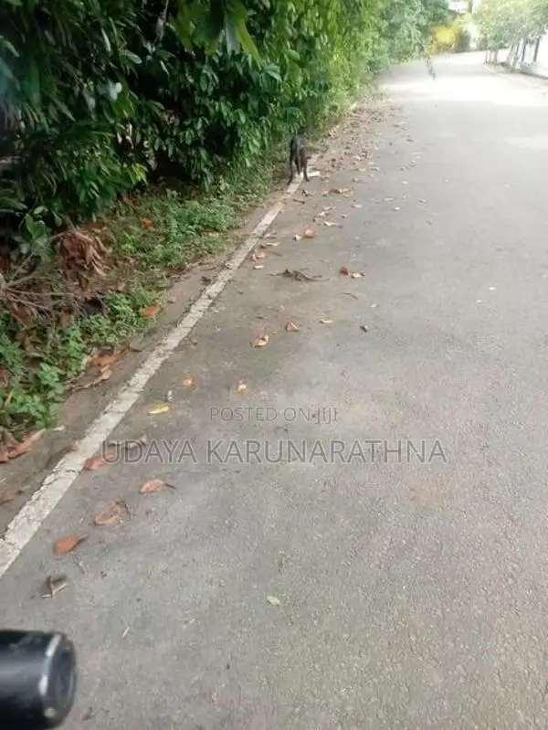 Land for Sale Malabe