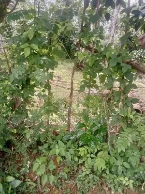 Land for Sale Malabe