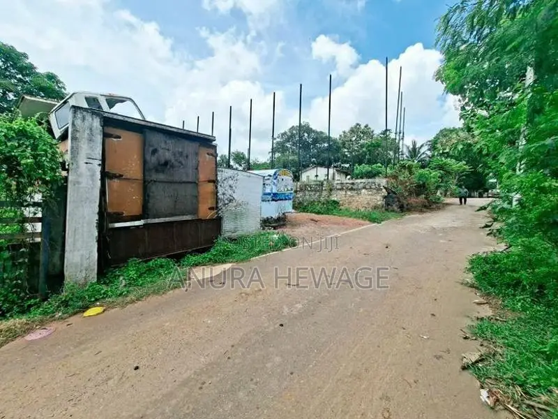 කෝට්ටේ, මාදිවෙල පිහිටි ඉඩමක් විකිණීමට ඇත. (ID : KTTE002S)