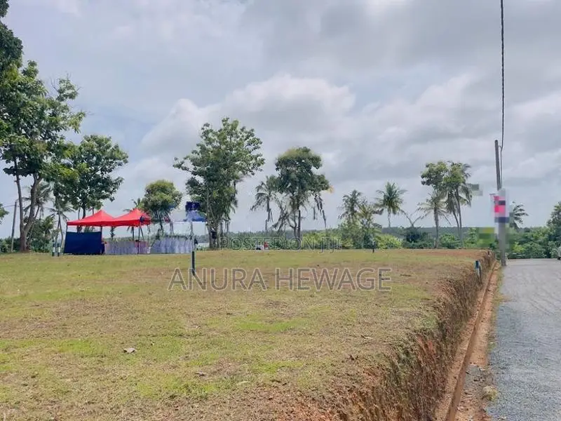 Land for sale Wadduwa, facing Bolgoda Lake. (ID : BLGD002)