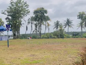 Land for sale Wadduwa, facing Bolgoda Lake. (ID : BLGD002)