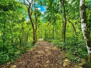 2.5 Acre Scenic Land for Sale at Pambahinnda, Belihuloya.