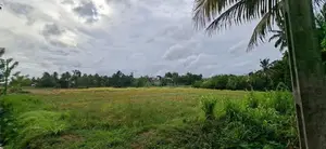 Super Land for sale Maharagama waththagedara