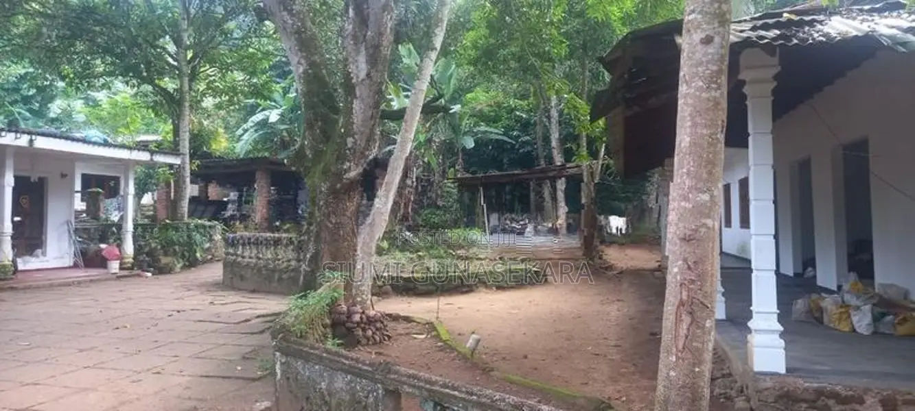 2 Houses for Sale with Big Land Gampola