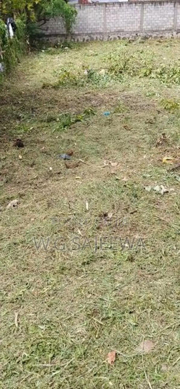 11.5 Perch Land for Sale Katana