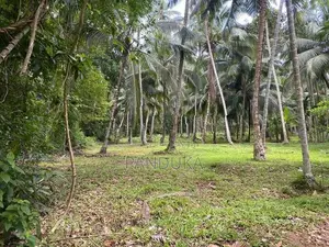 1 Acre Land for Sale in Ahugammana, Delgoda