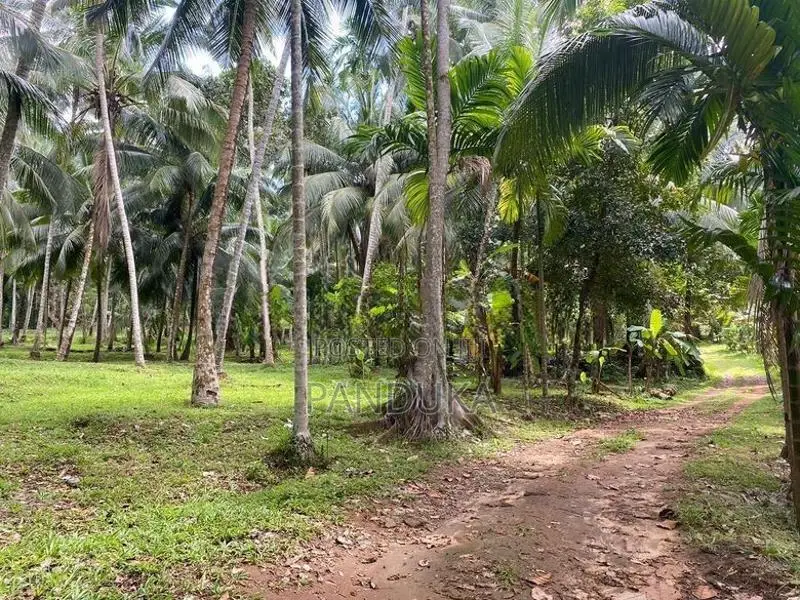 1 Acre Land for Sale in Ahugammana, Delgoda