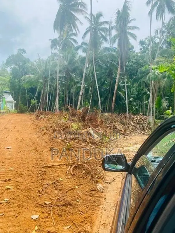 1 Acre Land for Sale in Ahugammana, Delgoda